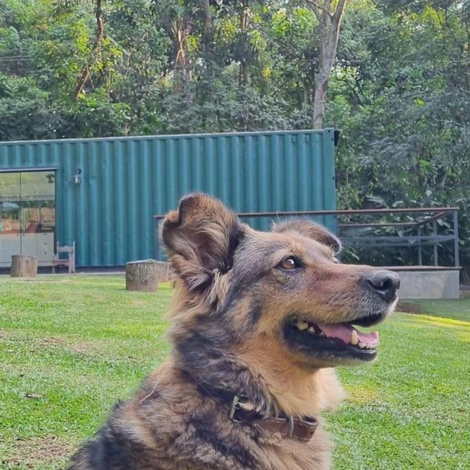 Casa Container Na Represa De Guarapiranga! Sonho! Villa São Paulo Exterior foto
